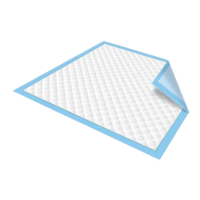 Disposable Bed & Incontinence Care