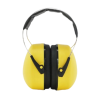 Earmuffs