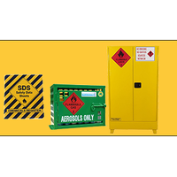 Dangerous Goods Cabinets